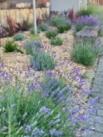 Garten Hackschnitzel rindenfrei 1500 Liter BigBag