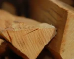 Kaminholz Buche trocken