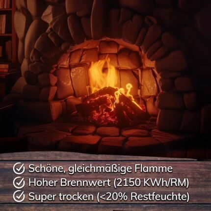 Kaminholz Buche trocken